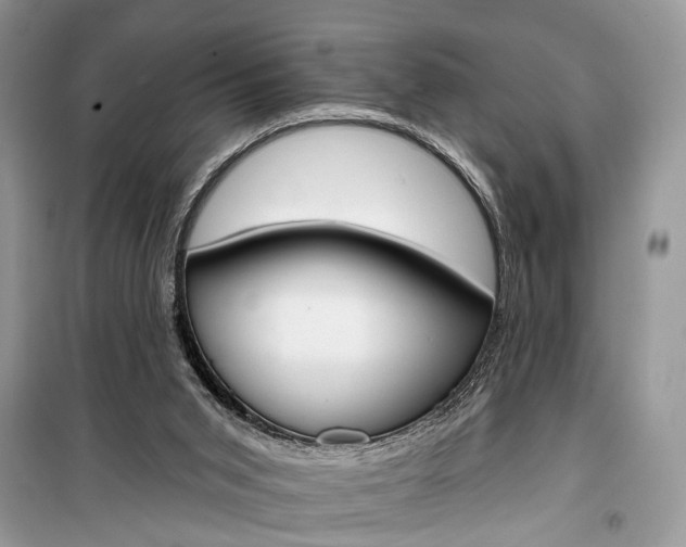 X0000099300015200805161400