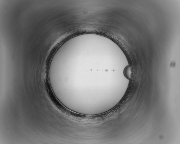 X0000099300016200805161400