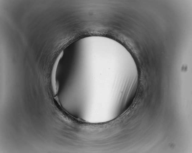 X0000099300017200805161400