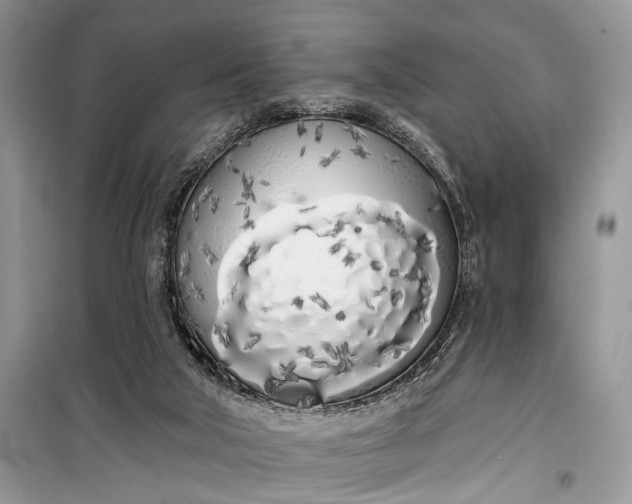 X0000099300018200805161400