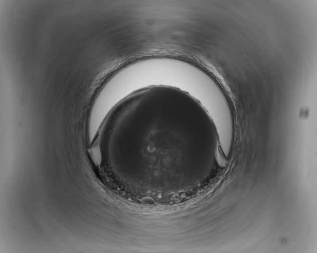 X0000099300019200805161400