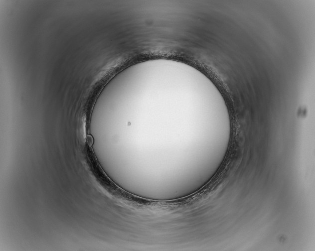 X0000099300020200805161359