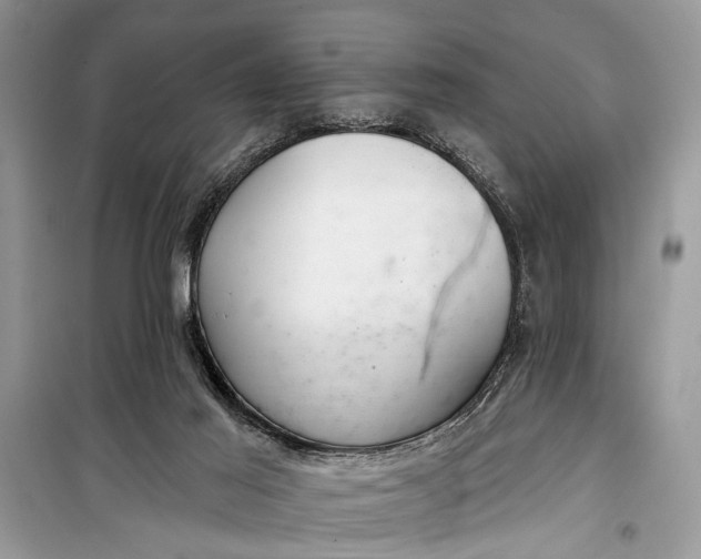 X0000099300021200805161359