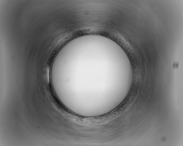 X0000099300022200805161359