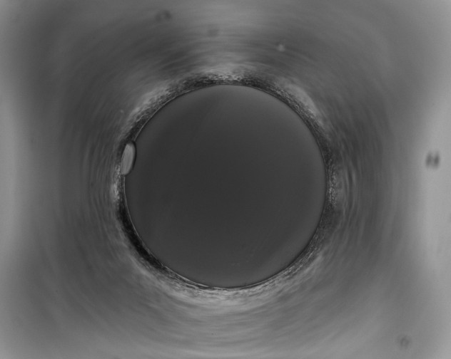 X0000099300023200805161359