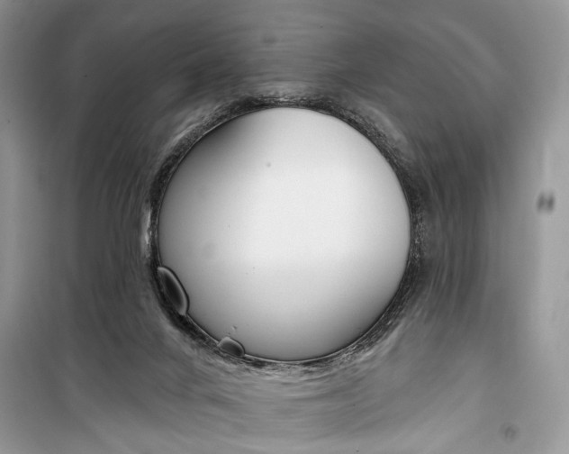 X0000099300024200805161359