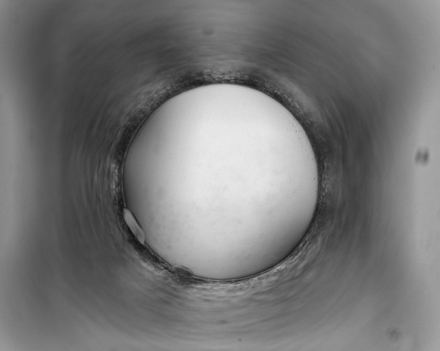 X0000099300025200805161359