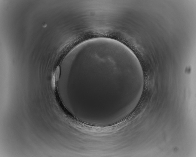 X0000099300027200805161359