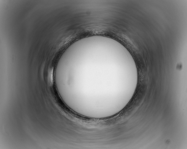 X0000099300028200805161359