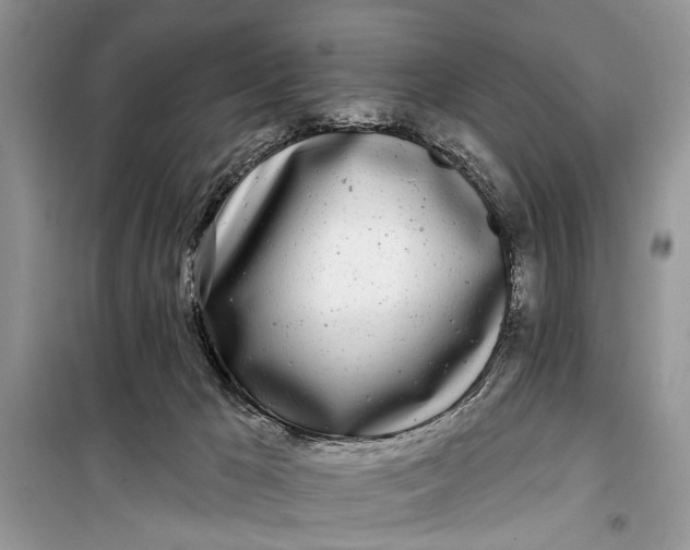 X0000099300029200805161359