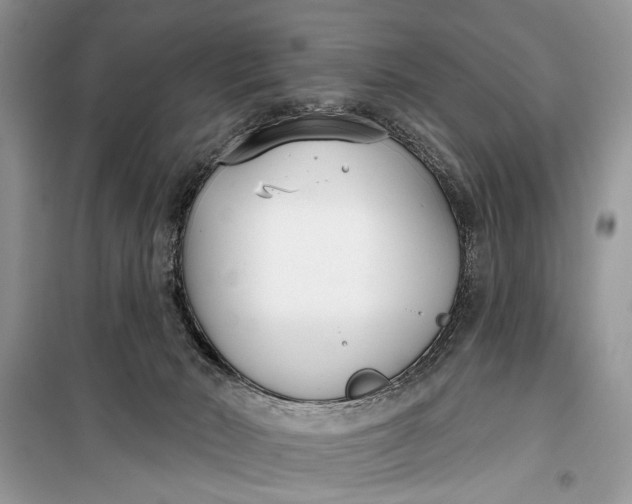 X0000099300030200805161359