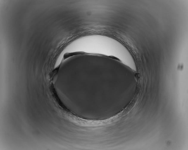 X0000099300031200805161359