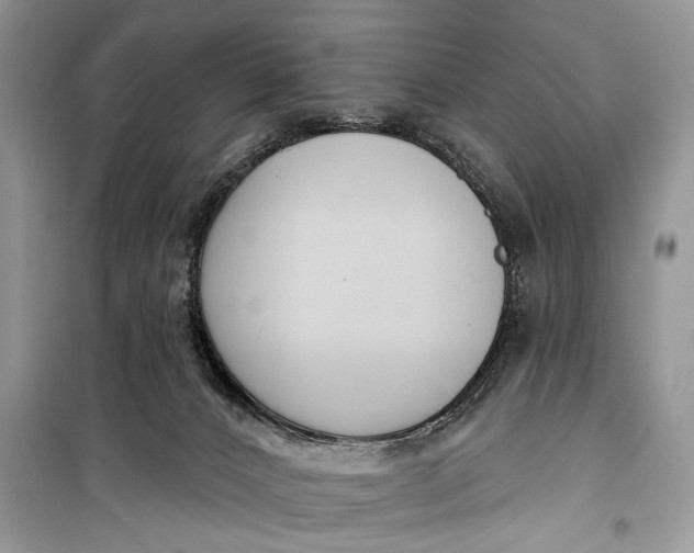 X0000099300032200805161359