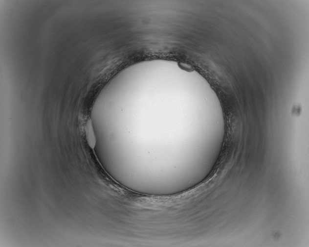 X0000099300033200805161359