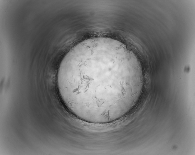 X0000099300034200805161359