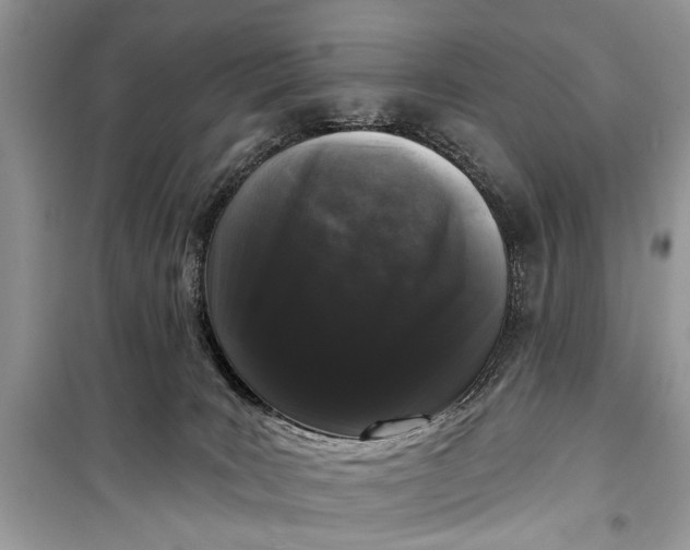 X0000099300035200805161359