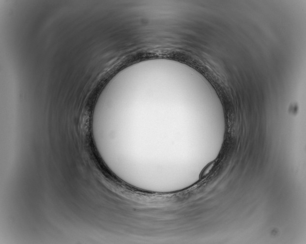 X0000099300036200805161359