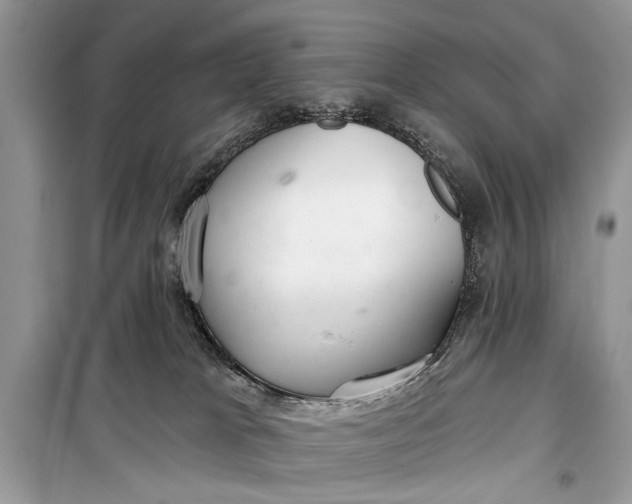 X0000099300037200805161359