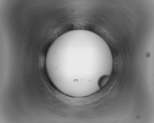 X0000099300038200805161359