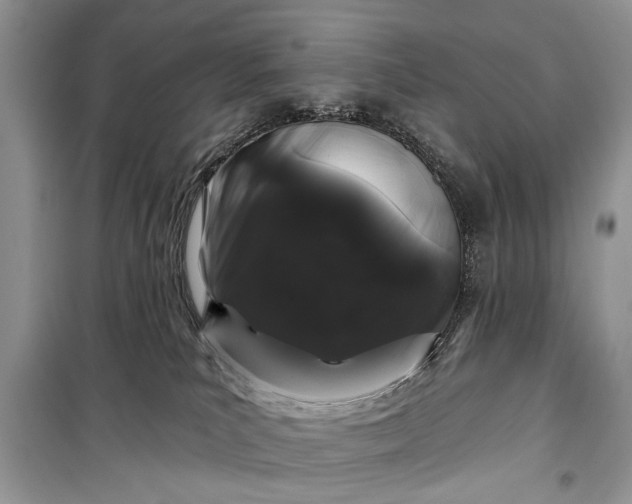 X0000099300039200805161359