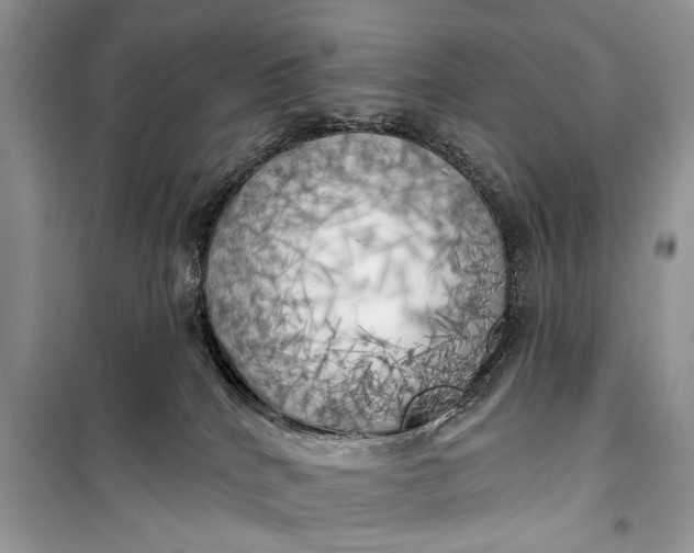 X0000099300040200805161359