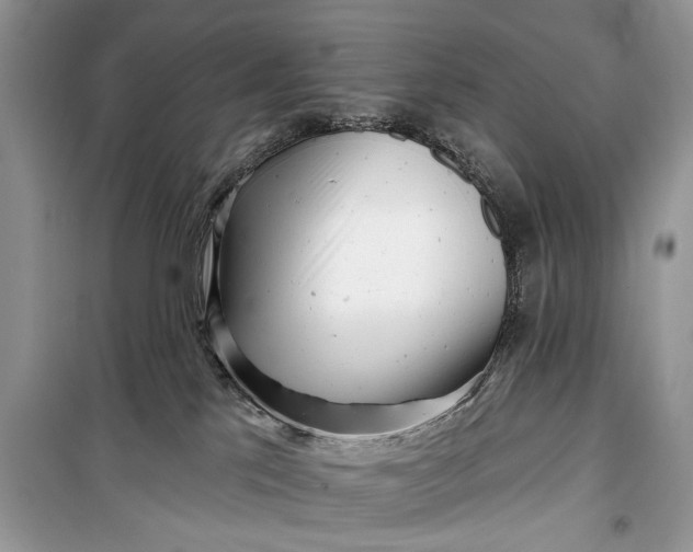 X0000099300041200805161359