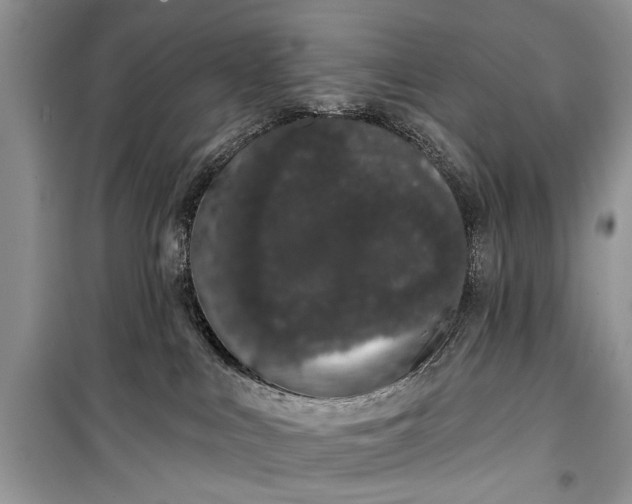 X0000099300043200805161359