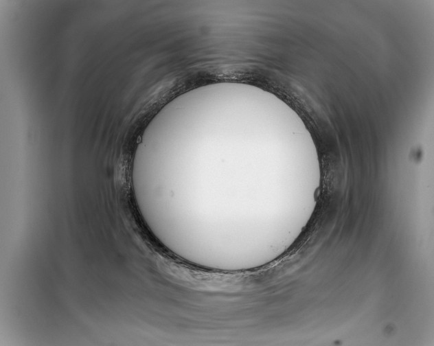 X0000099300044200805161359