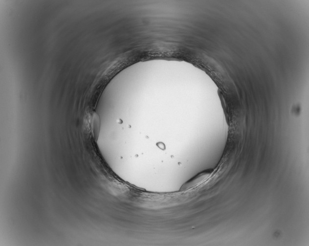 X0000099300045200805161359