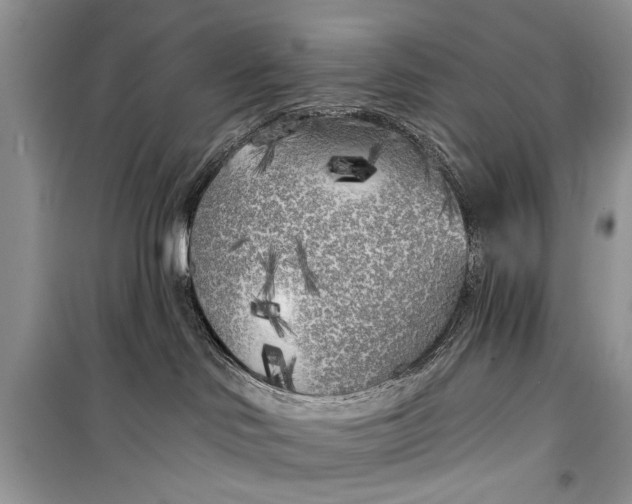 X0000099300046200805161359