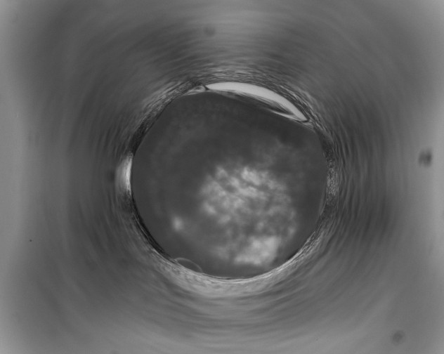 X0000099300047200805161359