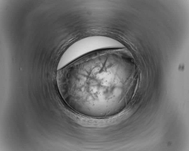 X0000099300048200805161359