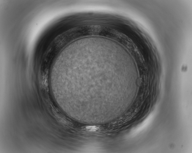 X0000099300050200805161358