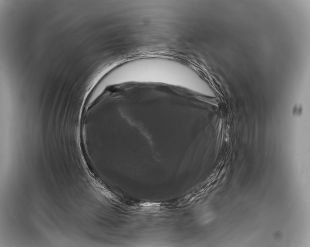 X0000099300052200805161358