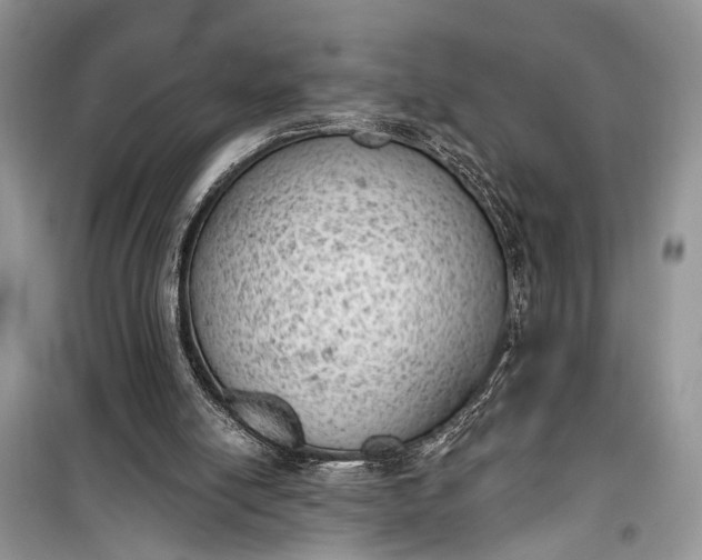 X0000099300054200805161358