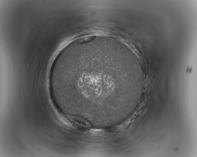 X0000099300055200805161358