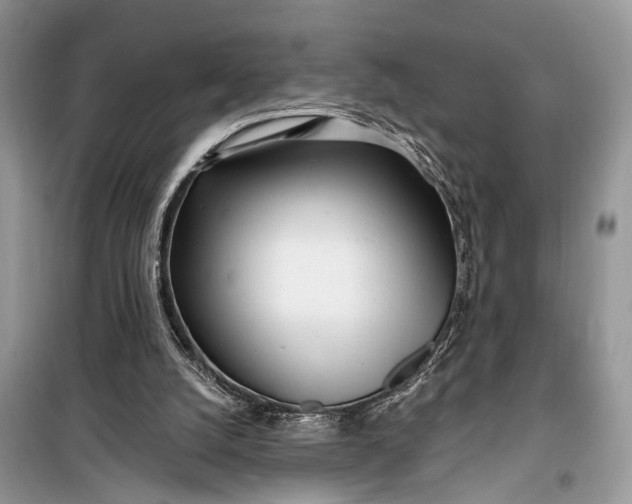 X0000099300056200805161358