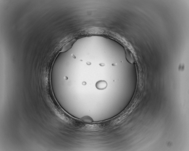 X0000099300057200805161358