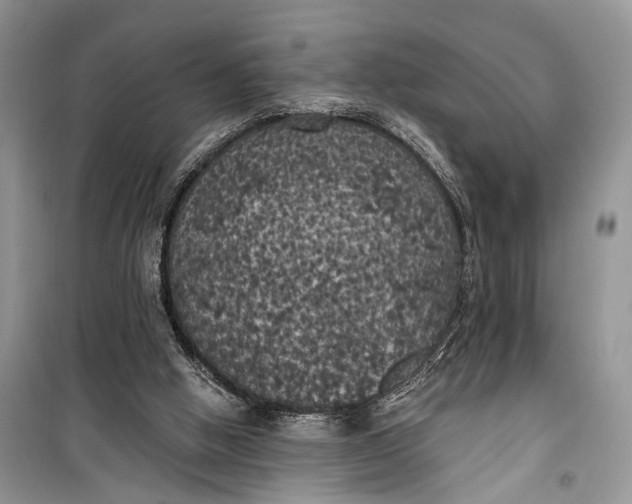 X0000099300058200805161358