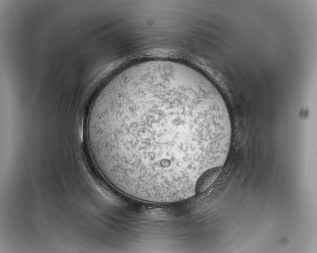 X0000099300062200805161358