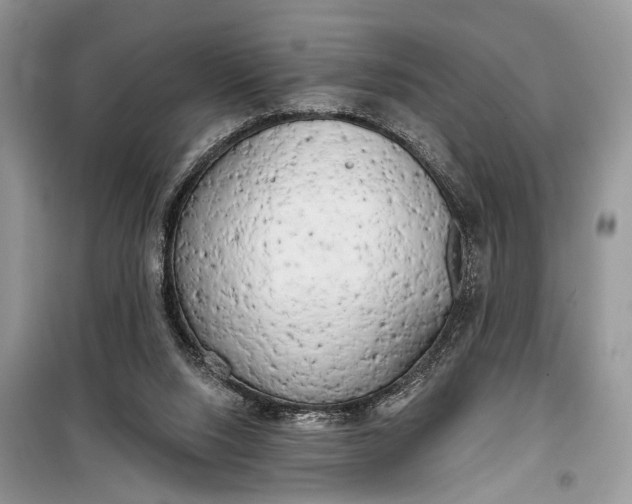 X0000099300064200805161358