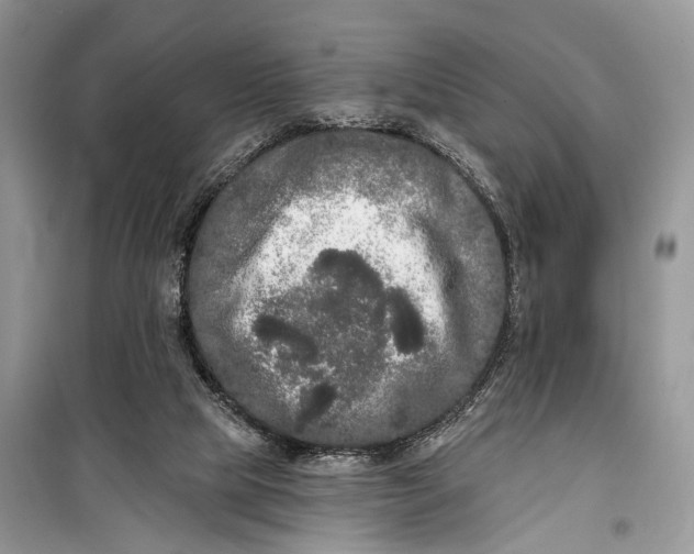 X0000099300065200805161358