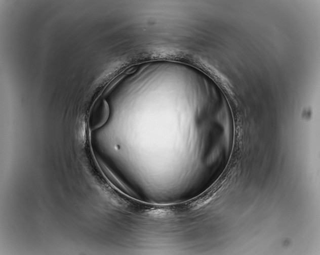 X0000099300067200805161358