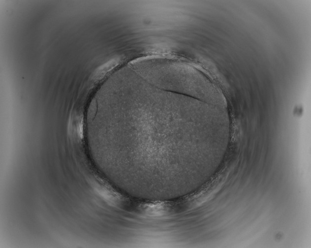 X0000099300068200805161358