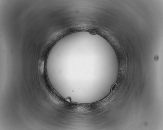 X0000099300070200805161358