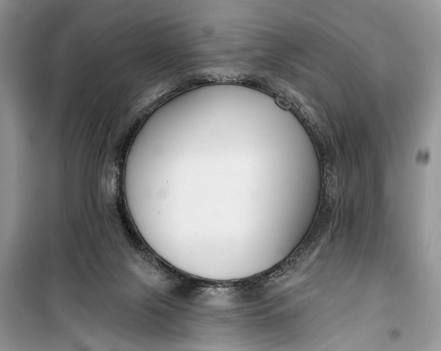 X0000099300071200805161358