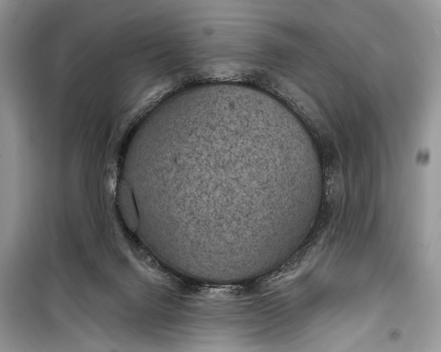 X0000099300072200805161358