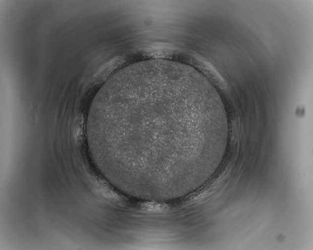 X0000099300073200805161358