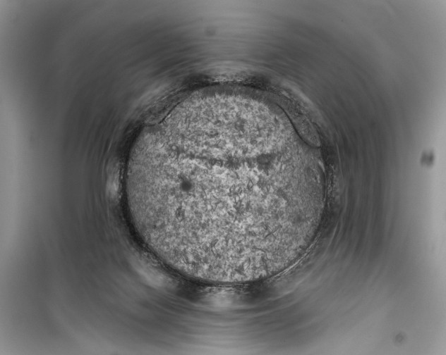 X0000099300074200805161358