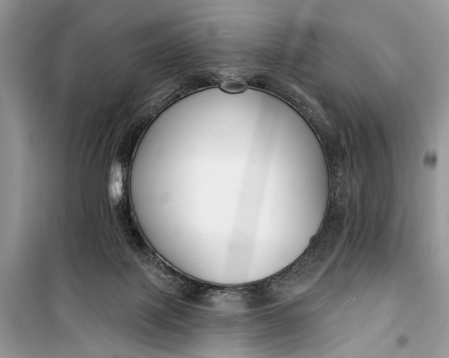 X0000099300075200805161359